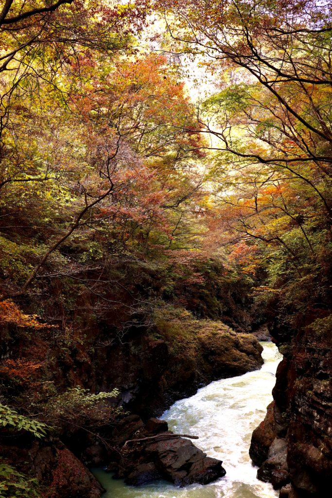 紅葉が綺麗 八ッ場ダムの近くの群馬県の吾妻峡 渓谷 へハイキング こりおつブログ