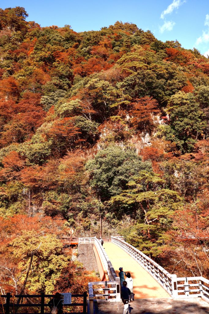 紅葉が綺麗 八ッ場ダムの近くの群馬県の吾妻峡 渓谷 へハイキング こりおつブログ